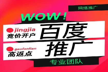 百度推广平台与社交媒体结合的营销案例